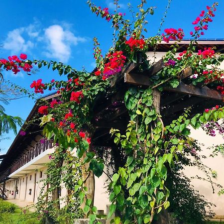 Hotel Fazenda Triunfo 아레이아 외부 사진