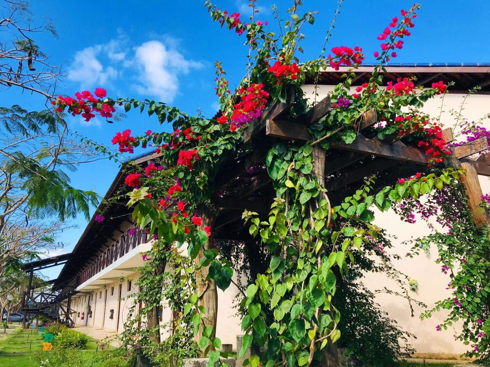 Hotel Fazenda Triunfo 아레이아 외부 사진