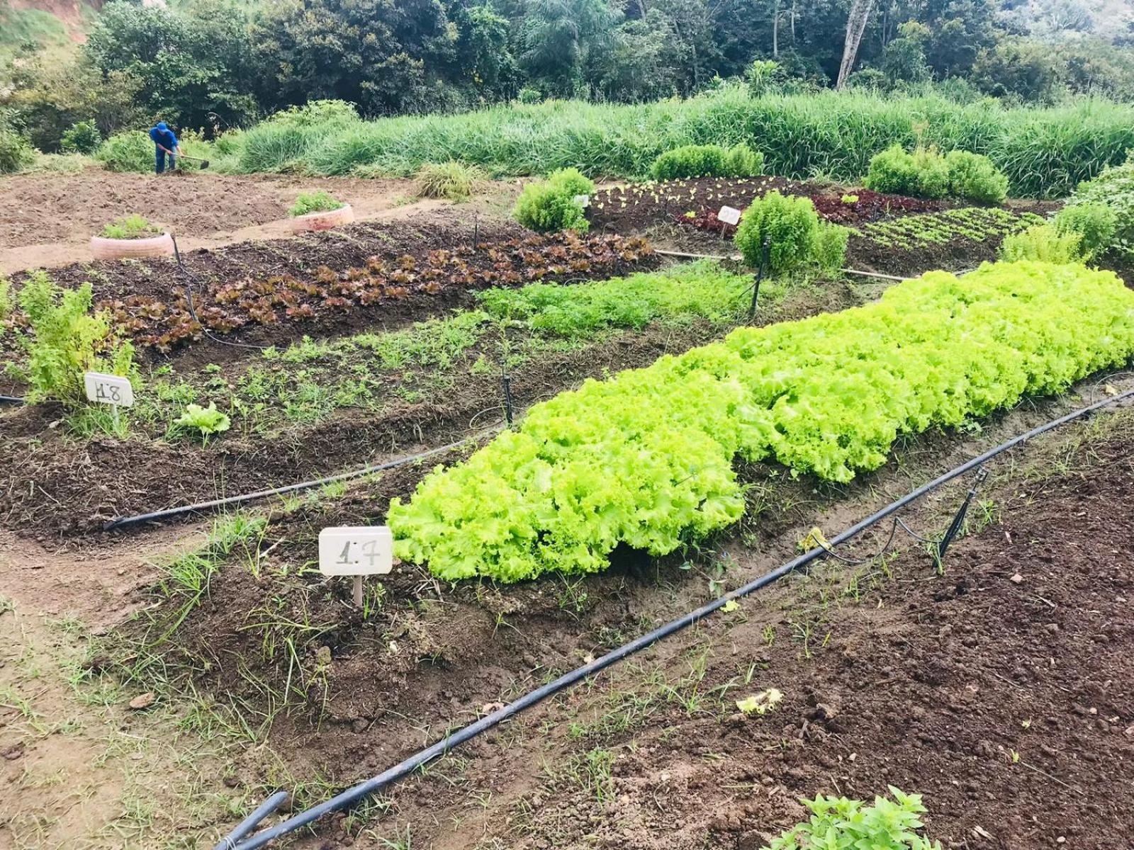 Hotel Fazenda Triunfo 아레이아 외부 사진