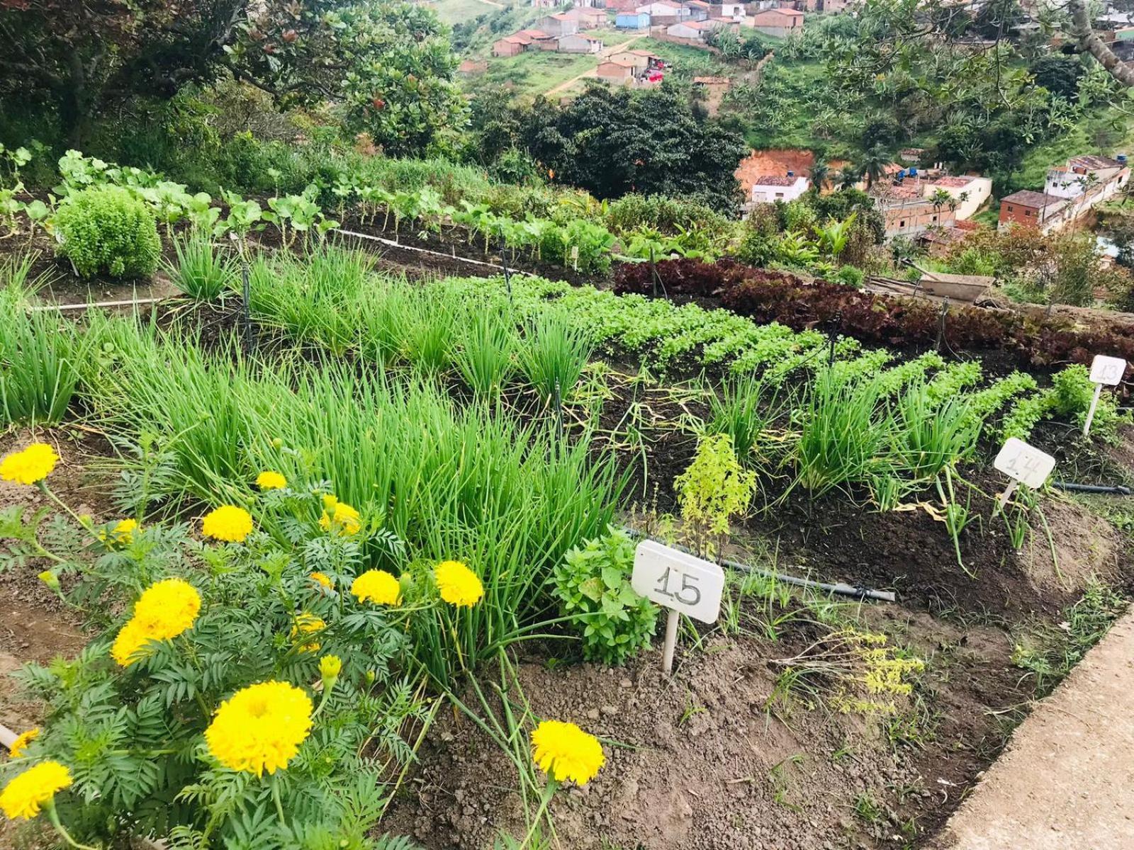 Hotel Fazenda Triunfo 아레이아 외부 사진