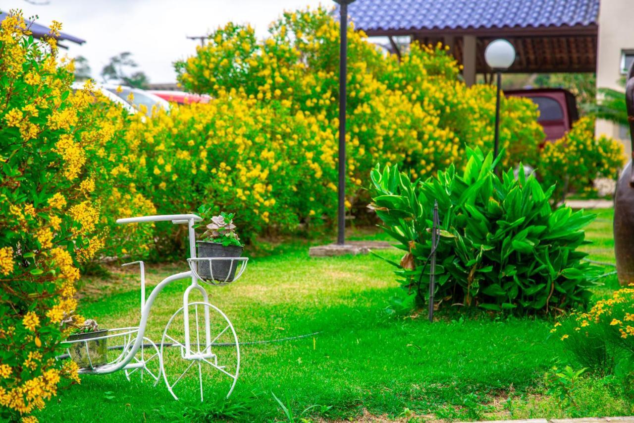 Hotel Fazenda Triunfo 아레이아 외부 사진